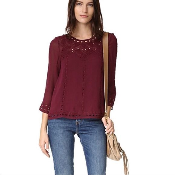 Joie Gaiane sheer chiffon embroidered top in Raisin - Picture 5 of 13